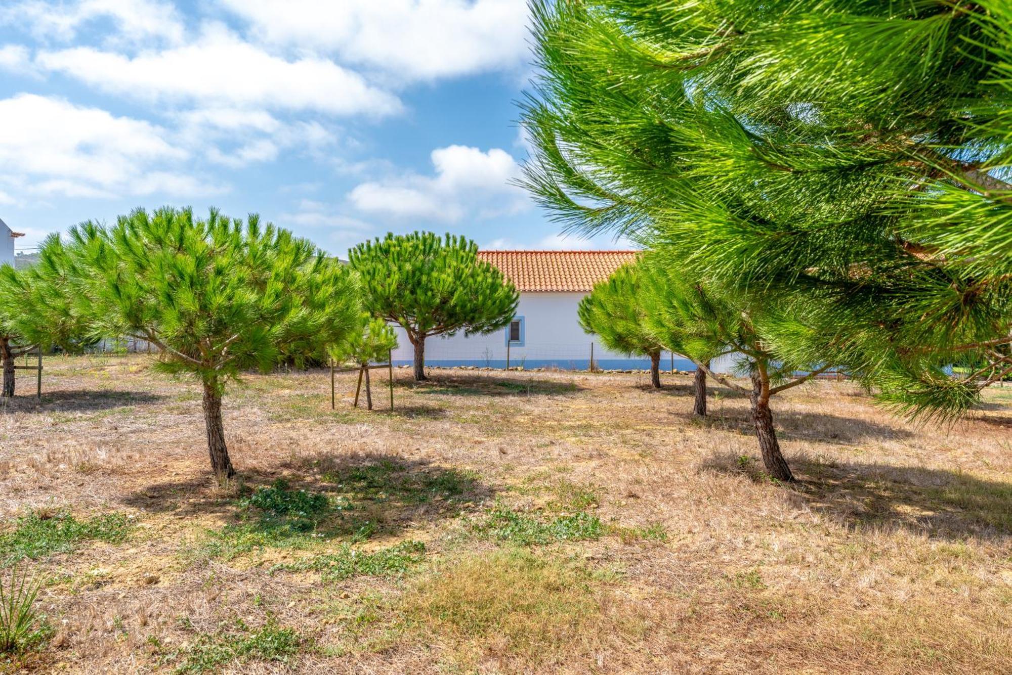 Quinta Da Bela Vista - Ericeira Villa Galiza Buitenkant foto